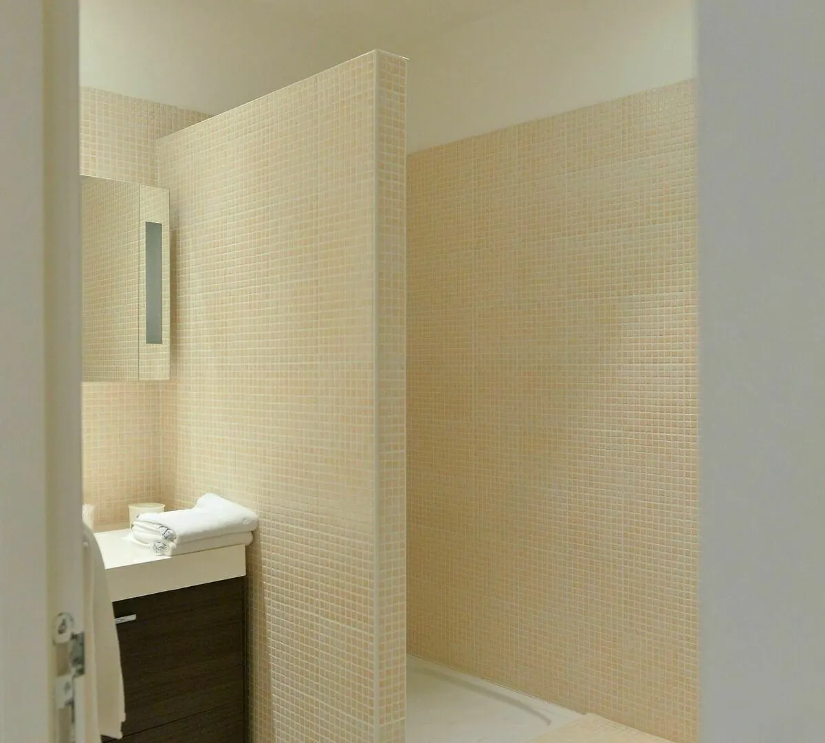 Loft Capitole Apartment Toulouse